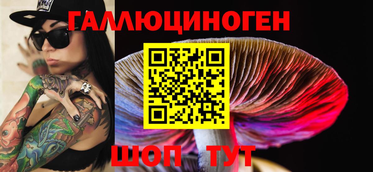 Котлас  Псилоцибиновые грибы Psilocybine cubensis  Вход с VPN 